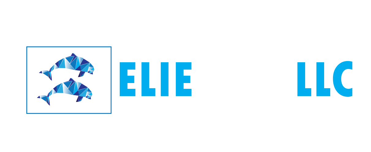 ELIE CPA LLC Logo White